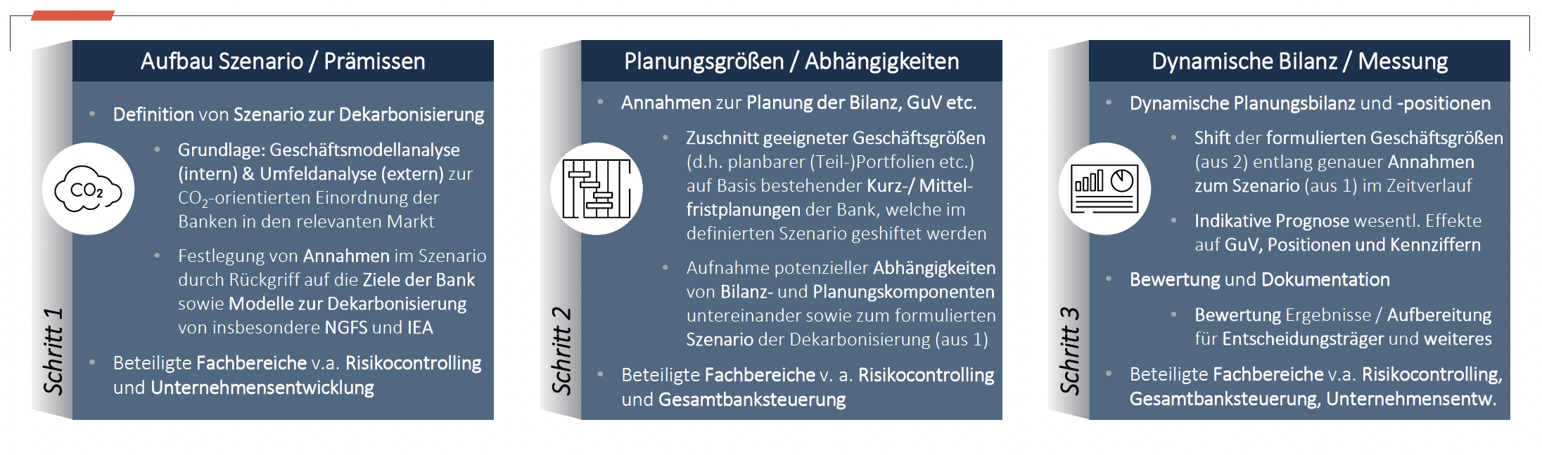 Inhaltliche Struktur zur Umsetzung der Klimaresilienz-Analyse