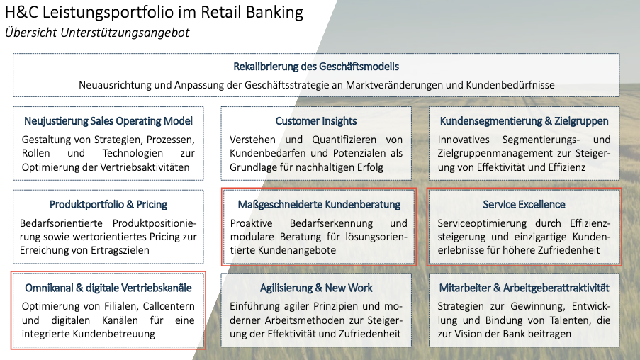 Das Horn & Company Leistungsportfolio im Retail Banking