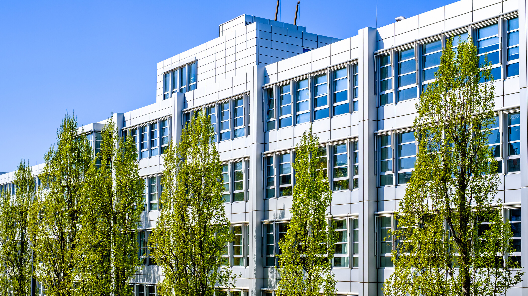 Strategieberatung Banken - Landesförderinstitute